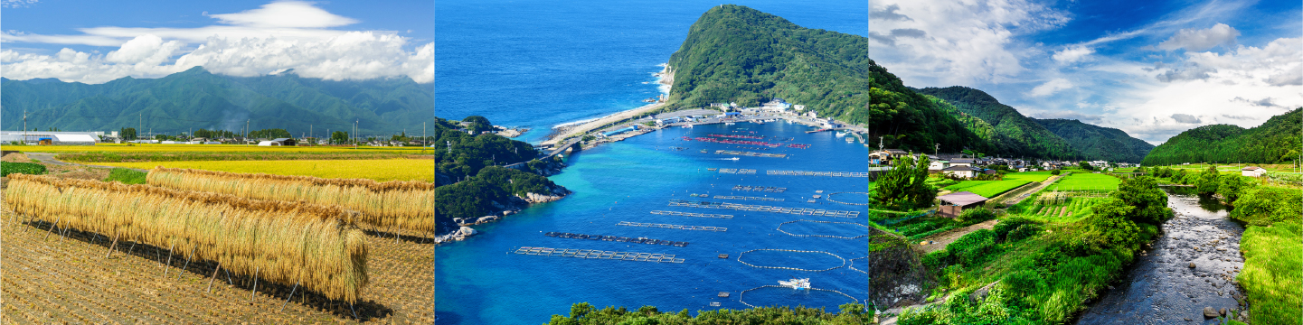 農村漁村地域のイメージ